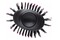 suszarko-lokówka Revlon RVDR5222E 800W kolor czarny