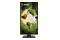 Monitor 27.0" MSI Pro Pro MP275PGN czarny