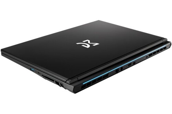 Laptop Dream Machines 17.3" Intel Core i5-13420H NVIDIA GeForce RTX 5050 16GB 512GB SSD czarny