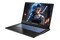 Laptop Dream Machines 17.3" Intel Core i5-13420H NVIDIA GeForce RTX 5050 16GB 512GB SSD czarny