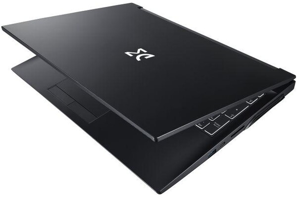 Laptop Dream Machines 15.6" Intel Core i5-11400H NVIDIA GeForce RTX 3050 Ti 16GB 1TB SSD windows 10 professional czarny