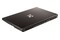 Laptop Dream Machines 15.6" Intel Core i7-13700HX NVIDIA GeForce RTX 4060 32GB 1TB SSD M.2 czarny