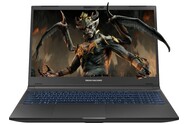 Laptop Dream Machines 15.6" Intel Core i5-13500H NVIDIA GeForce RTX 4060 16GB 512GB SSD M.2 czarny