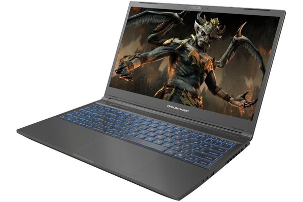 Laptop Dream Machines 15.6" Intel Core i5-13500H NVIDIA GeForce RTX 4060 16GB 512GB SSD M.2 czarny