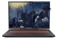 Laptop Dream Machines 17.3" Intel Core i9-13900HX NVIDIA GeForce RTX 4090 16GB 1TB SSD M.2 czarny