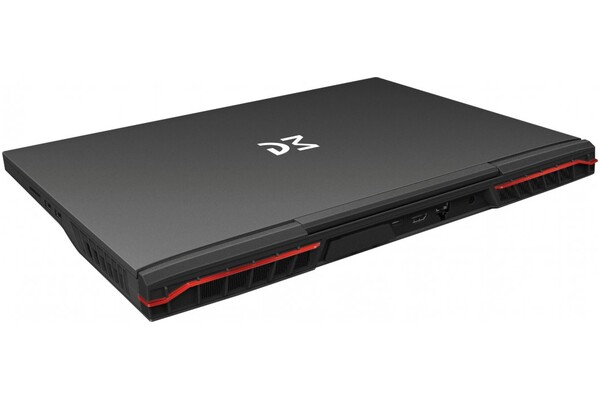 Laptop Dream Machines 17.0" Intel Core i9-14900HX NVIDIA GeForce RTX 4090 32GB 1TB SSD M.2 czarny