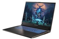 Laptop Dream Machines 17.3" Intel Core i9-14900HX NVIDIA GeForce RTX 4060 32GB 1TB SSD czarny
