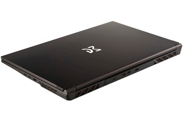 Laptop Dream Machines 17.3" Intel Core i9-14900HX NVIDIA GeForce RTX 4060 32GB 1TB SSD czarny