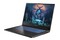 Laptop Dream Machines 17.3" Intel Core i9-14900HX NVIDIA GeForce RTX 4060 32GB 1TB SSD czarny