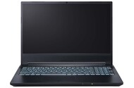 Laptop Dream Machines 15.6" Intel Core i5-13420H NVIDIA GeForce RTX 2050 16GB 512GB SSD M.2 czarny