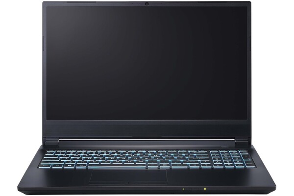Laptop Dream Machines 15.6" Intel Core i5-13420H NVIDIA GeForce RTX 2050 16GB 512GB SSD M.2 czarny