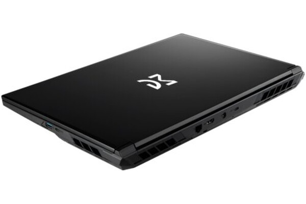 Laptop Dream Machines 17.3" Intel Core i7-14700HX NVIDIA GeForce RTX 5050 32GB 1TB SSD czarny