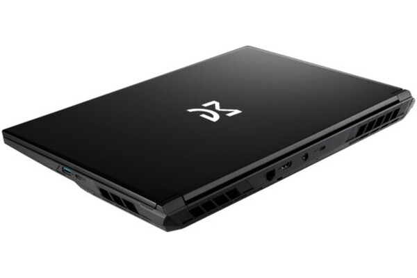Laptop Dream Machines 17.3" Intel Core i9-14900HX NVIDIA GeForce RTX 5070 Ti 32GB 1TB SSD czarny