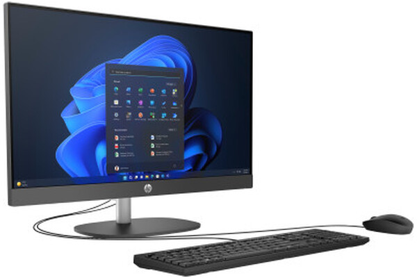 HP 245 16GB DDR4 Windows 11 Professional PL