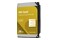 Dysk wewnętrzny WD Gold HDD SATA (3.5") 26TB