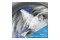 Suszarka Beko BM3T3823WBW