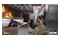 Tom Clancys Rainbow Six Siege X Edycja Elite Xbox (Series X)