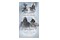 Assassins Creed Compilation (Rebel Collection + AC3) INTENDO Nintendo Switch