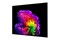 Telewizor LG OLED77G64LW 77" 4K Ultra HD