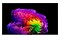 Telewizor LG OLED55G64LW 55" 4K Ultra HD