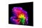 Telewizor LG OLED65G64LW 65" 4K Ultra HD