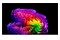 Telewizor LG OLED83G64LW 83" 4K Ultra HD