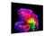 Telewizor LG OLED83G64LW 83" 4K Ultra HD