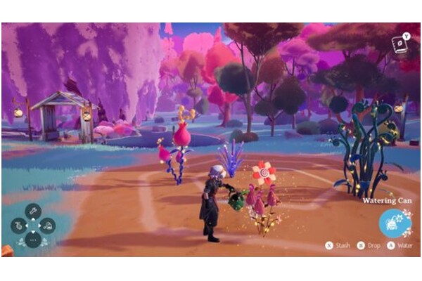 Wanderstop 2 Nintendo Switch