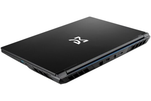Laptop Dream Machines 15.6" Intel Core i9-14900HX NVIDIA GeForce RTX 5050 32GB 2TB SSD czarny