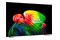 Telewizor LG OLED83B65LA 83" 4K Ultra HD