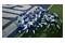 EA SPORTS Madden NFL 27 Xbox (Series X)