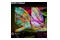 Telewizor Hisense 43E77Q 43" 4K Ultra HD Pro