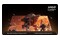 Telewizor Hisense 75U7S 75" 4K Ultra HD Pro