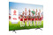Telewizor TCL 50C645 50" 4K Ultra HD