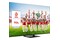 Telewizor TCL 55C745 55" 4K Ultra HD
