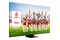 Telewizor TCL 75C855 75" 4K Ultra HD