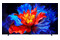 Telewizor TCL 98P81K 98" 4K Ultra HD