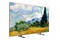 Telewizor TCL 55A400U 55" 4K Ultra HD