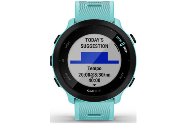 Smartwatch Garmin Forerunner 55 42.0mm niebieski
