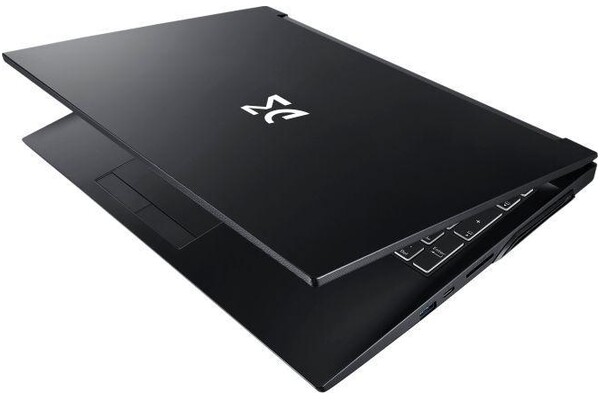 Laptop Dream Machines 15.6" AMD Ryzen 7 5800H NVIDIA GeForce RTX 3050 Ti 32GB 2TB SSD M.2 windows 10 professional czarny