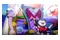Dragon Ball Z Kakarot Edycja Daima Nintendo Switch