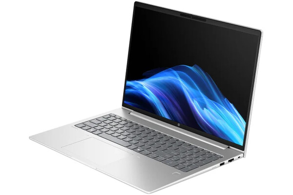 Laptop HP ProBook 4 G1i 16.0" Intel Core Ultra 5-225U Intel 24GB 1TB SSD M.2 Windows 11 Professional srebrny
