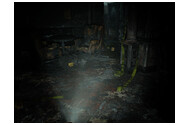 Resident Evil Requiem Xbox (Series X)