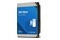 Dysk wewnętrzny WD WD100EAGZ Blue HDD SATA (3.5") 10TB