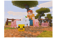 Minecraft Nintendo Switch