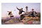 2 Tony Hawks Pro Skater 3 + 4 Nintendo Switch