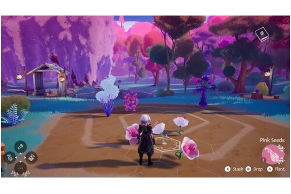Wanderstop 2 Nintendo Switch