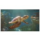 Planet Zoo 2 Xbox (Series X)