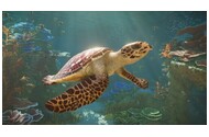 Planet Zoo 2 Xbox (Series X)