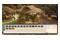 Planet Zoo 2 PlayStation 5